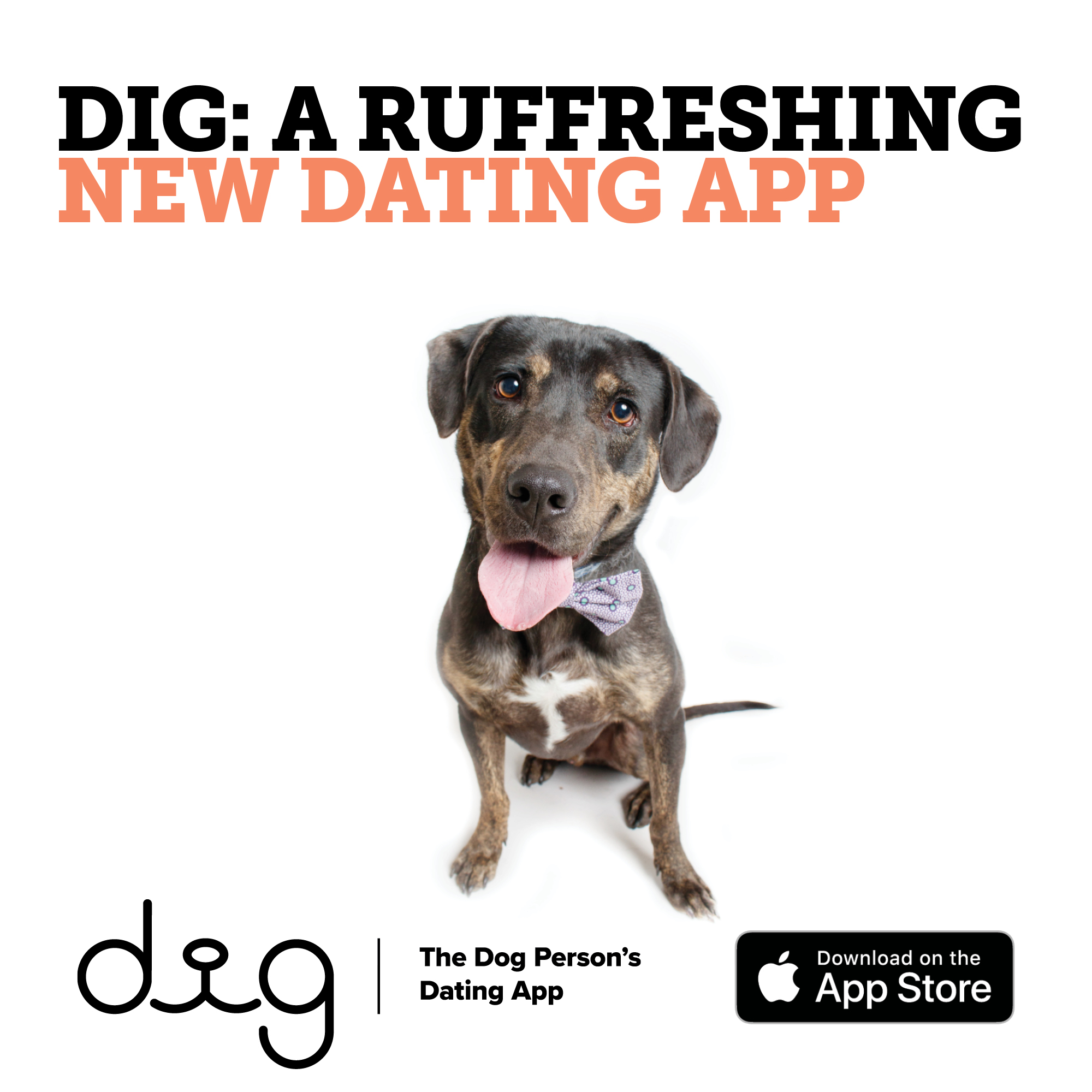 dating app for dog owners